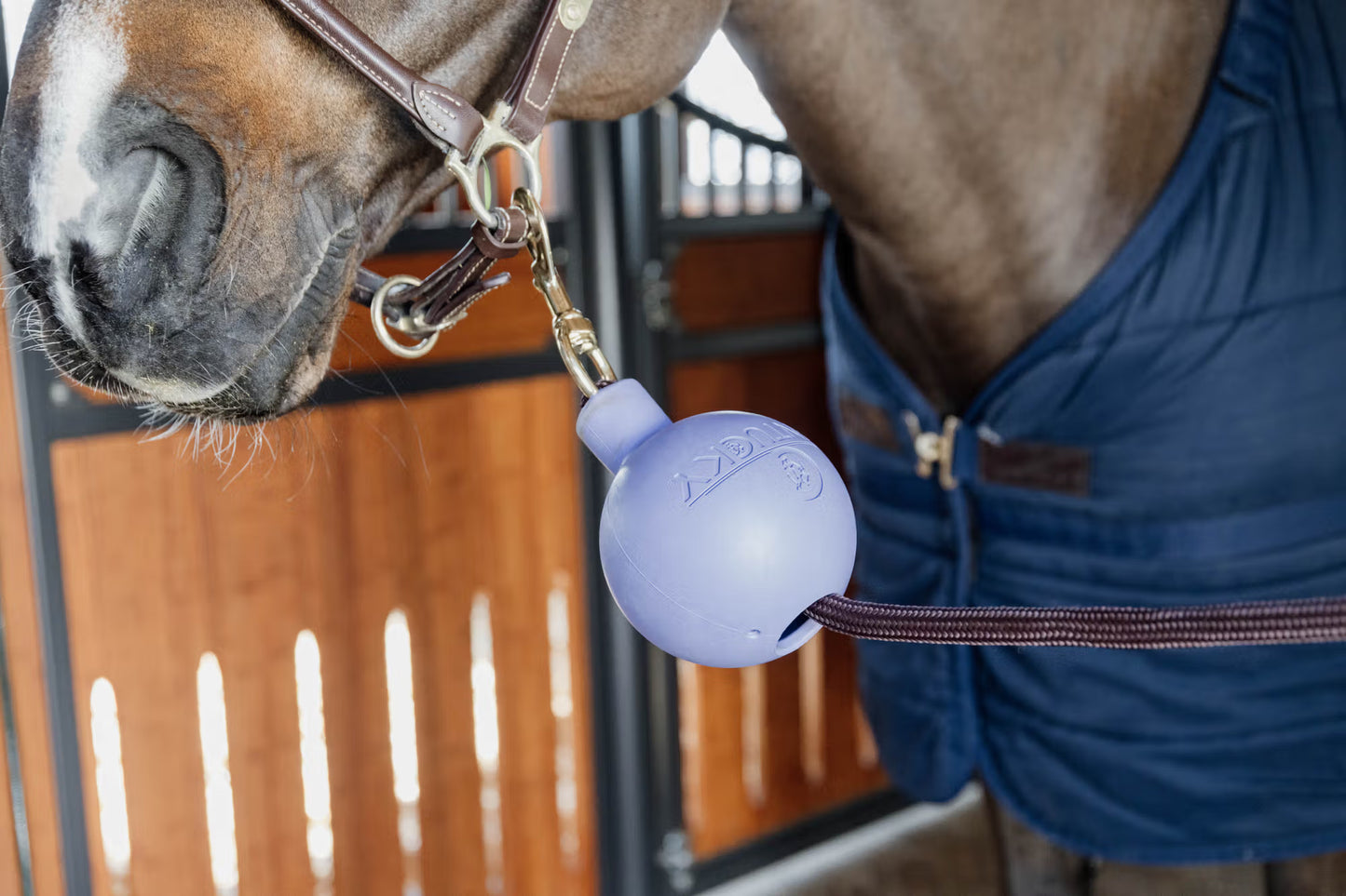 Kentucky Rubber Ball Protection Wall and Lead