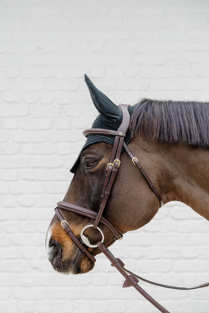 Dy'on Plaited Flash Noseband Bridle - D Collection