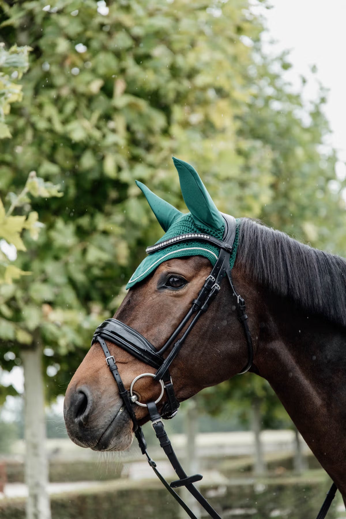 Kentucky Fly Veil Wellington Velvet - Soundless