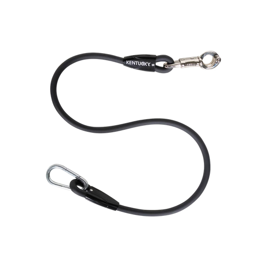 Kentucky Horse Box Lead and Cross Tie - Silicone
