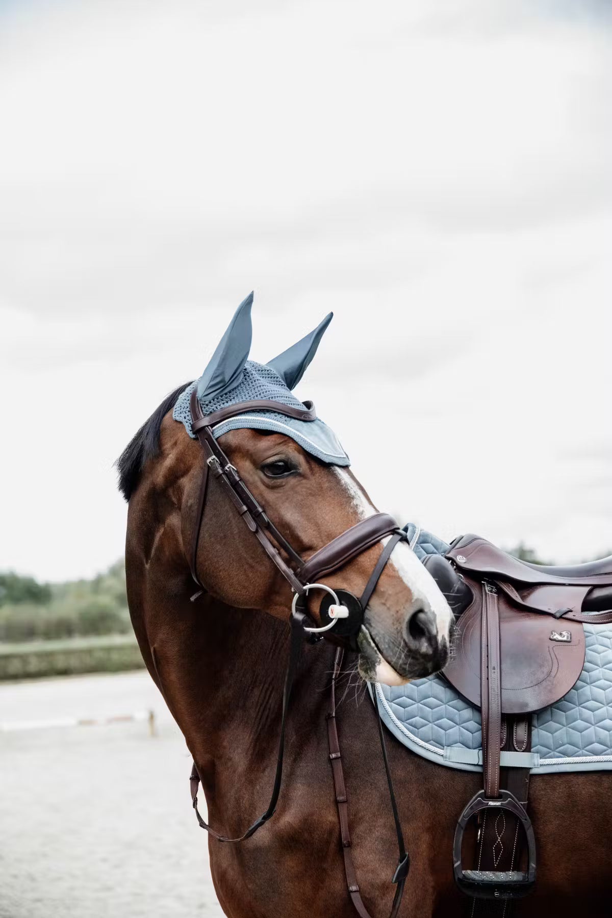 Kentucky Fly Veil Wellington Velvet - Soundless