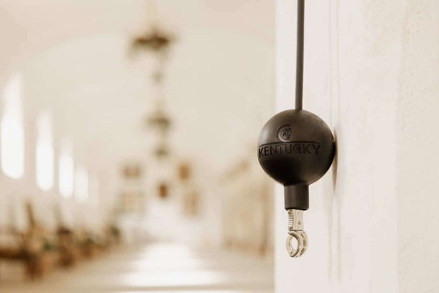 Kentucky Rubber Ball Protection Wall and Lead