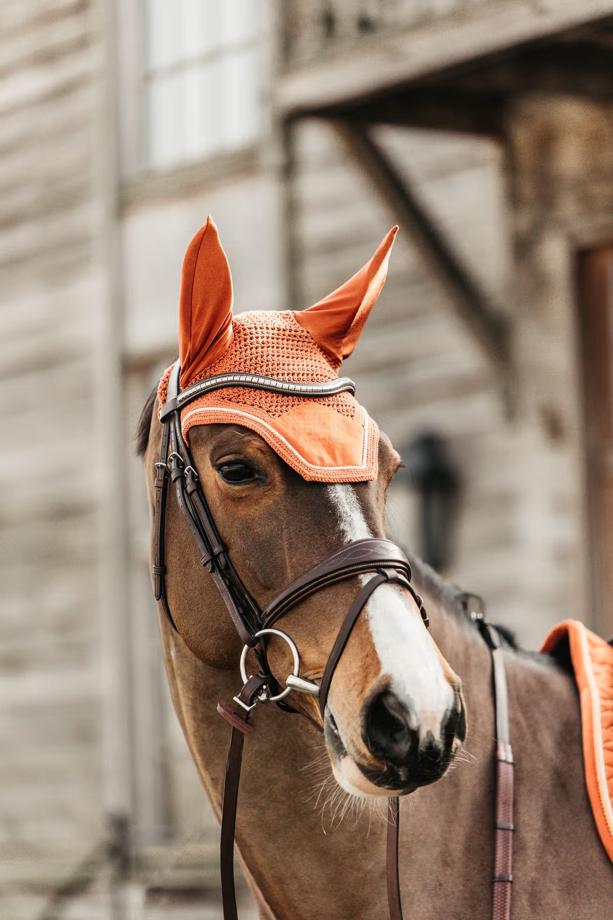 Kentucky Fly Veil Wellington Velvet - Soundless