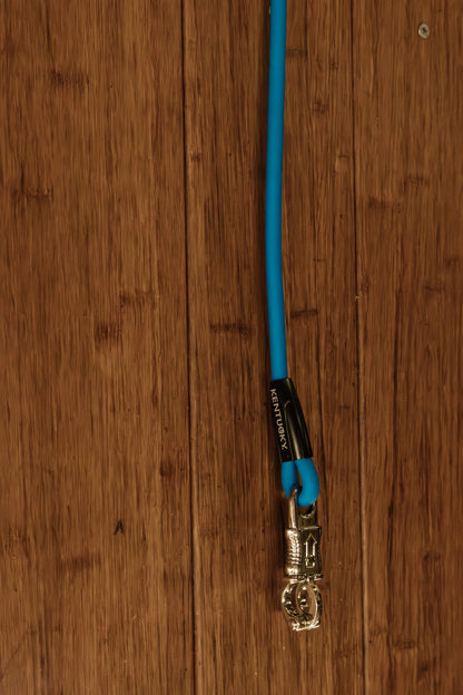 Kentucky Horse Box Lead and Cross Tie - Silicone