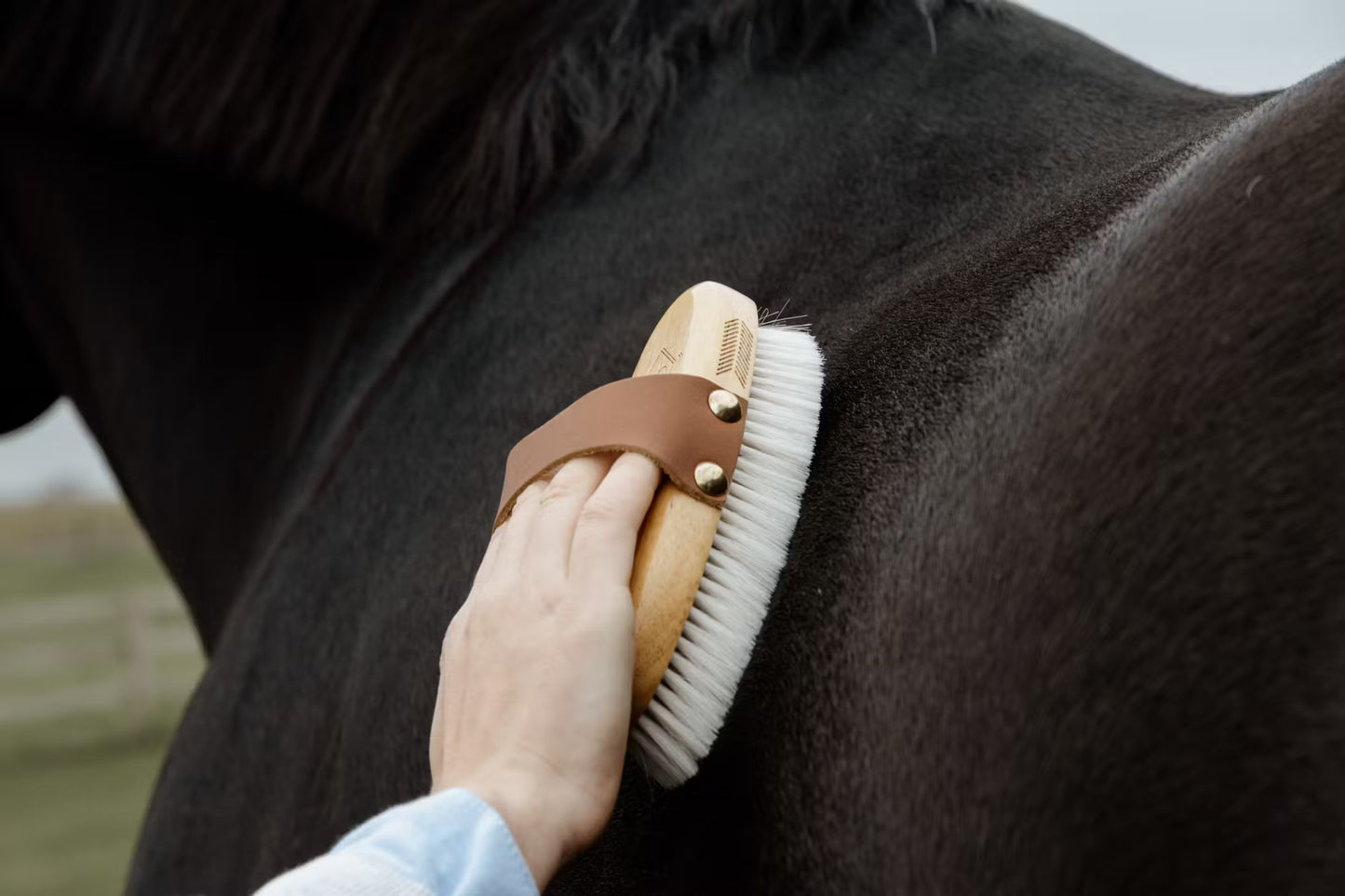 Kentucky Grooming Deluxe Small Overall Brush Soft