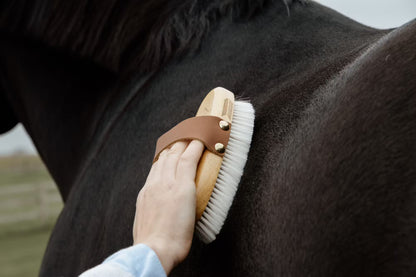 Kentucky Grooming Deluxe Small Overall Brush Soft