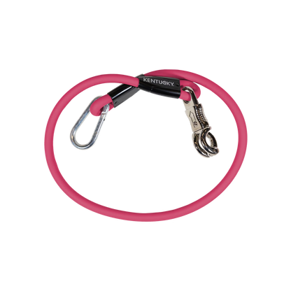 Kentucky Horse Box Lead and Cross Tie - Silicone