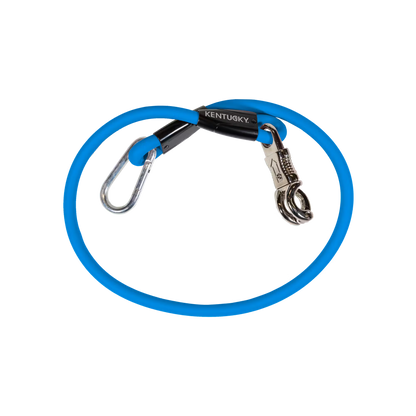 Kentucky Horse Box Lead and Cross Tie - Silicone