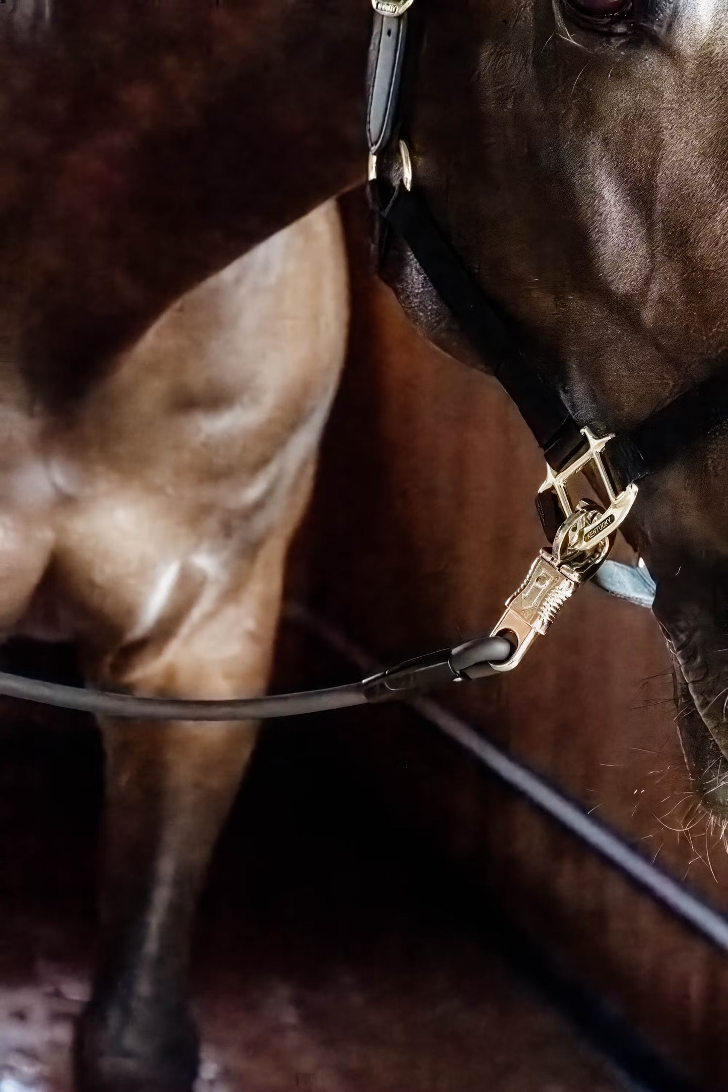 Kentucky Horse Box Lead and Cross Tie - Silicone