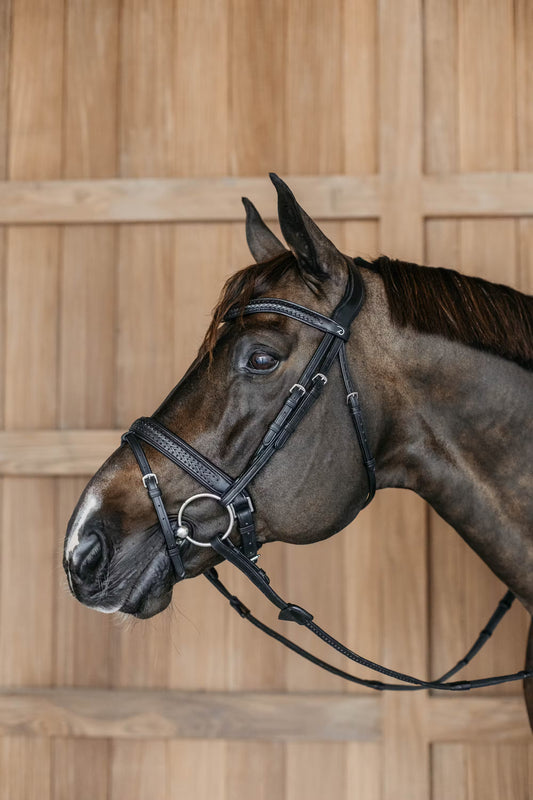 Dy'On Plaited Flash Noseband Bridle with Pull Back - New English Collection