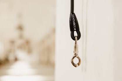 Kentucky Horse Box Lead and Cross Tie - Silicone