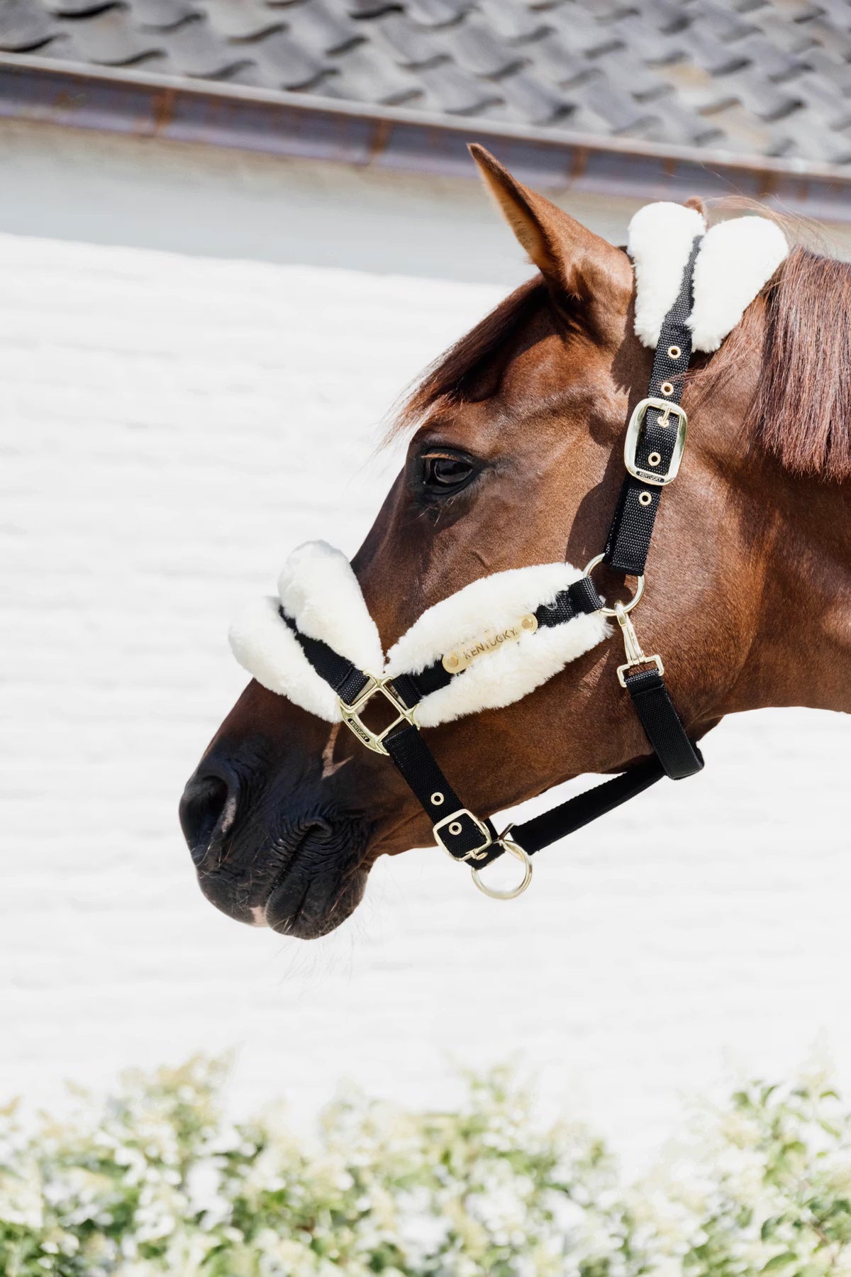 Kentucky Nylon Sheepskin Halter - Soft