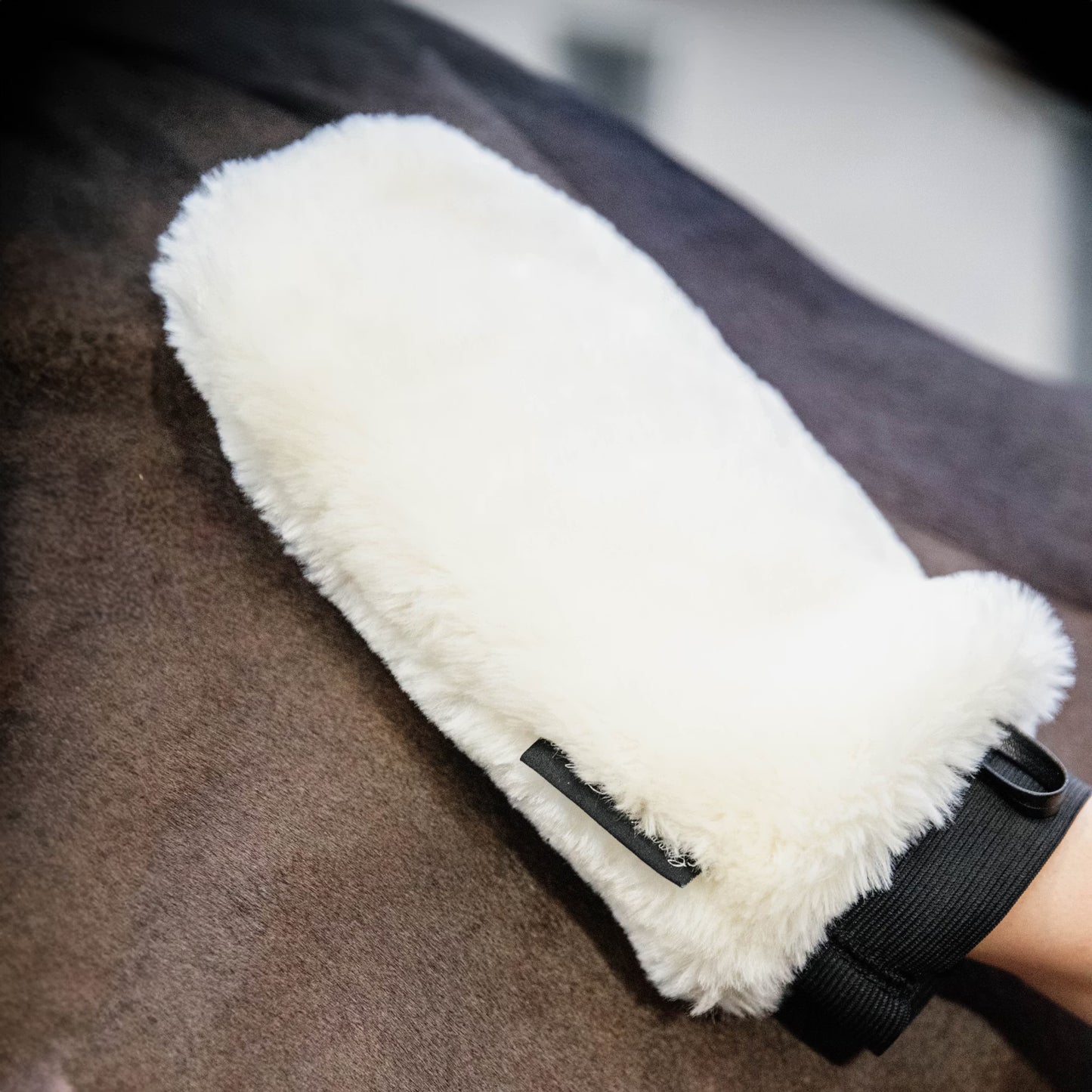 Kentucky Grooming Deluxe Sheepskin Grooming Glove