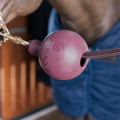 Kentucky Rubber Ball Protection Wall and Lead