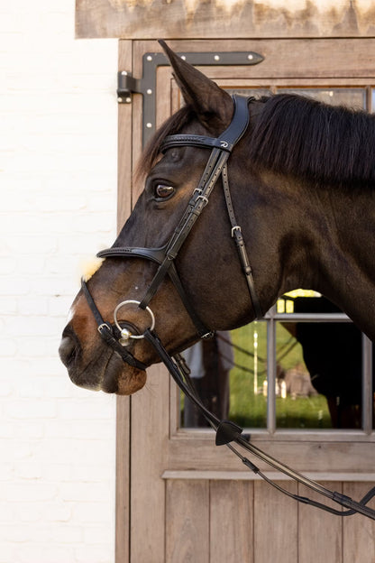 Dy'On Plaited Figure 8 Noseband Bridle - New English Collection