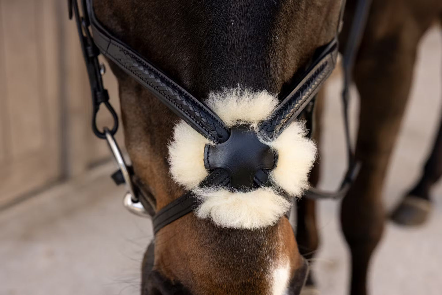 Dy'On Plaited Figure 8 Noseband Bridle - New English Collection