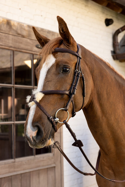 Dy'On Plaited Figure 8 Noseband Bridle - New English Collection