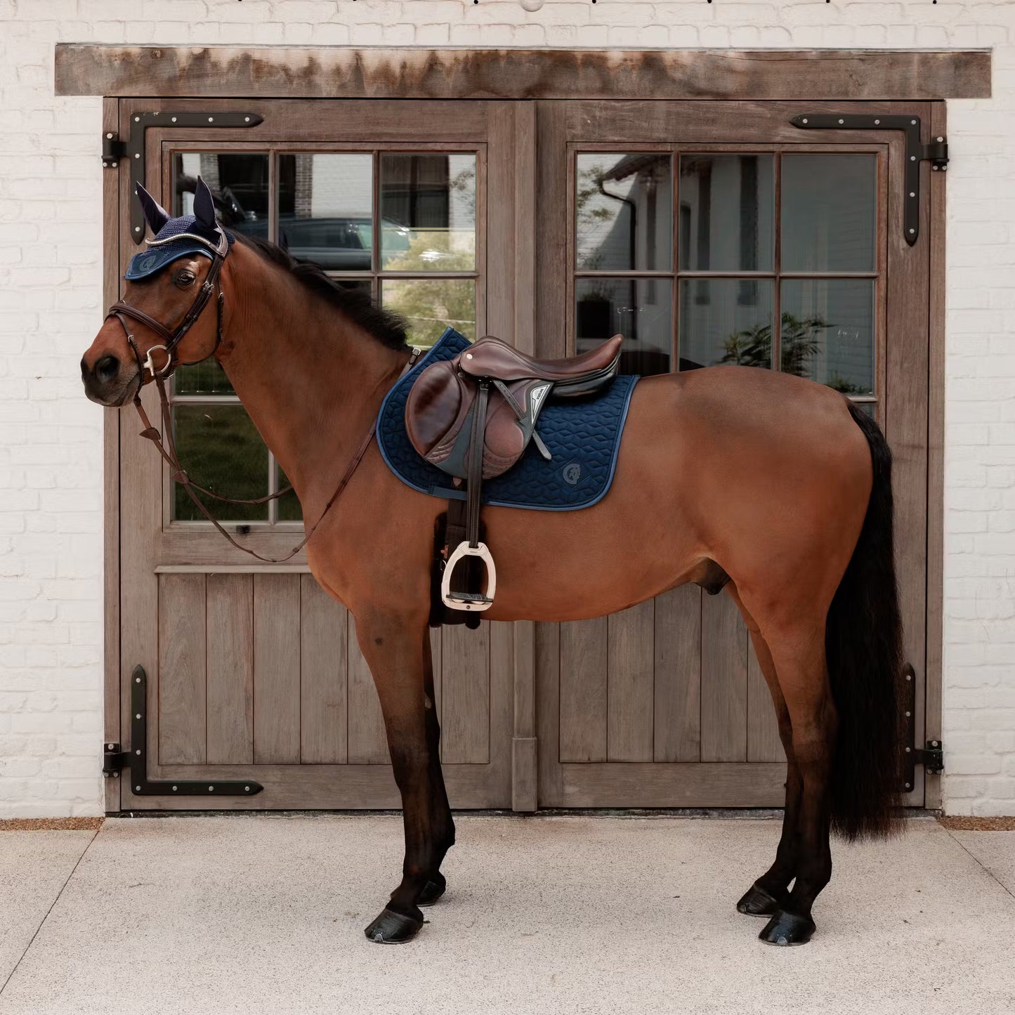Kentucky Saddle Pad Sparkling - Jumping