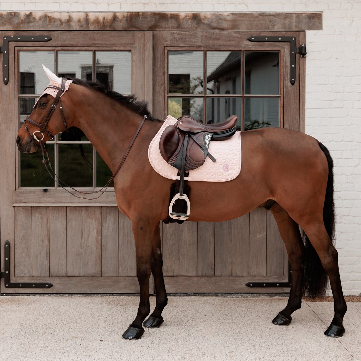 Kentucky Saddle Pad Sparkling - Jumping