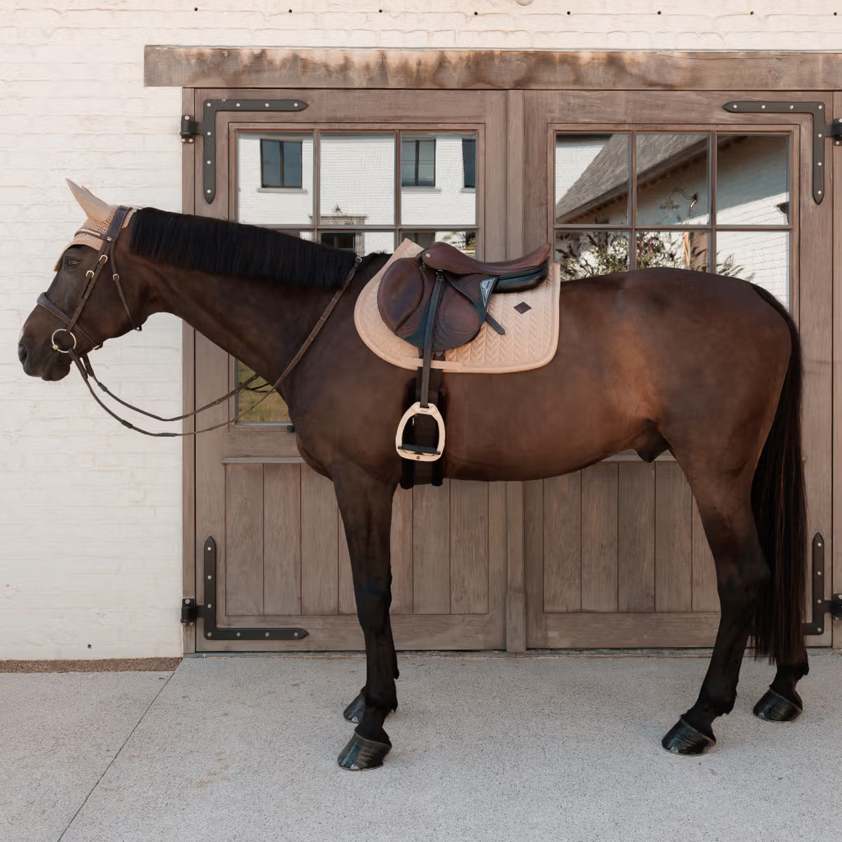 Kentucky Saddle Pad Velvet Mini Pearls - Jumping