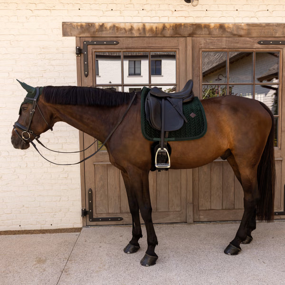 Kentucky Saddle Pad Velvet Mini Pearls - Dressage
