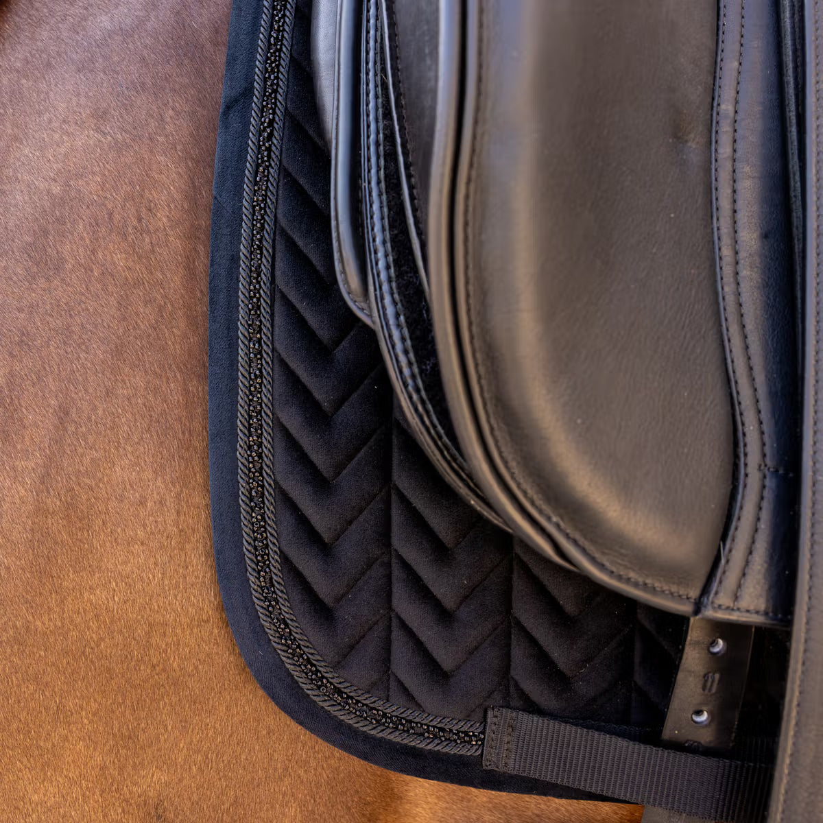 Kentucky Saddle Pad Velvet Mini Pearls - Dressage