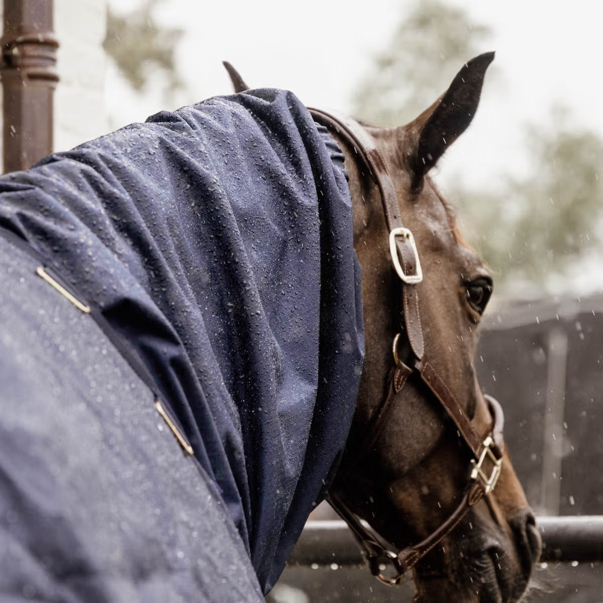Kentucky Classic Waterproof Horse Scarf - Navy
