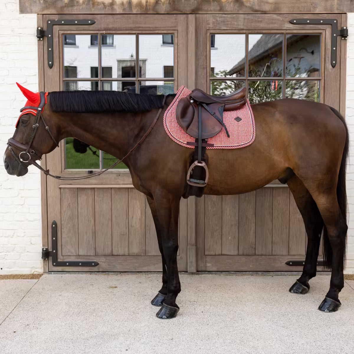 Kentucky Saddle Pad Velvet Printing Jumping