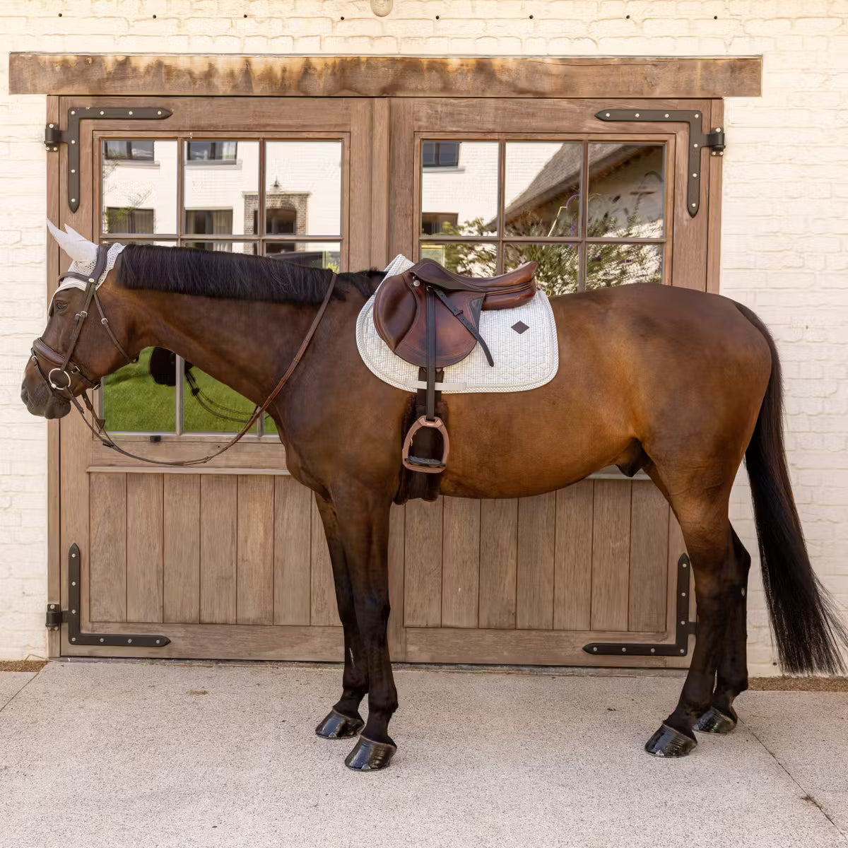 Kentucky Saddle Pad Velvet Printing Jumping