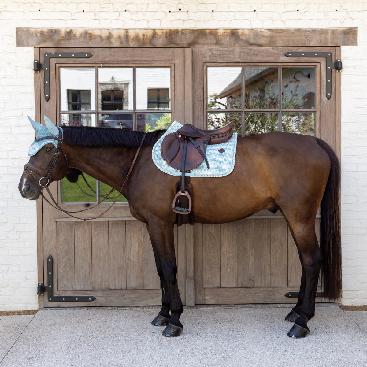 Kentucky Saddle Pad Velvet Printing Jumping