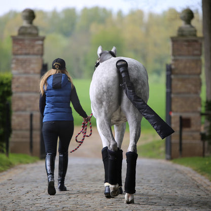 Kentucky Stable Bandage Pads