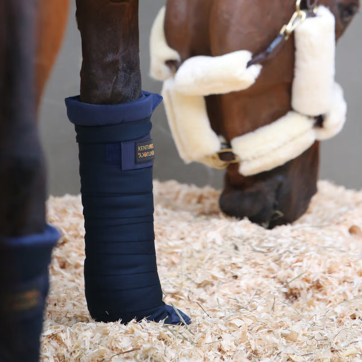 Kentucky Stable Bandage Pads
