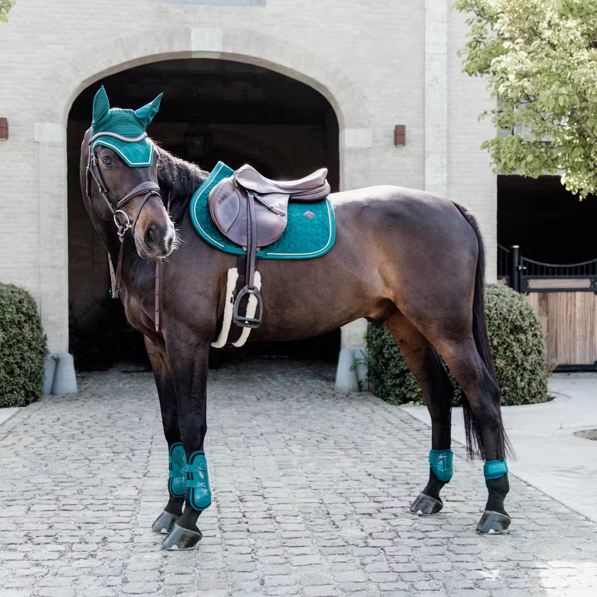 Kentucky Tendon Boots Bamboo Elastic