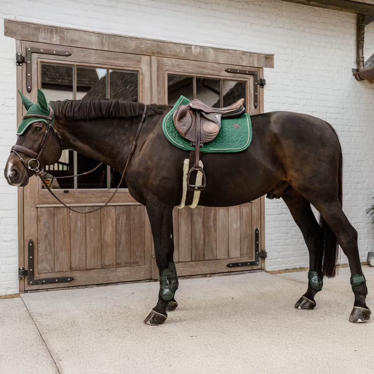 Kentucky Tendon Boots Bamboo Elastic
