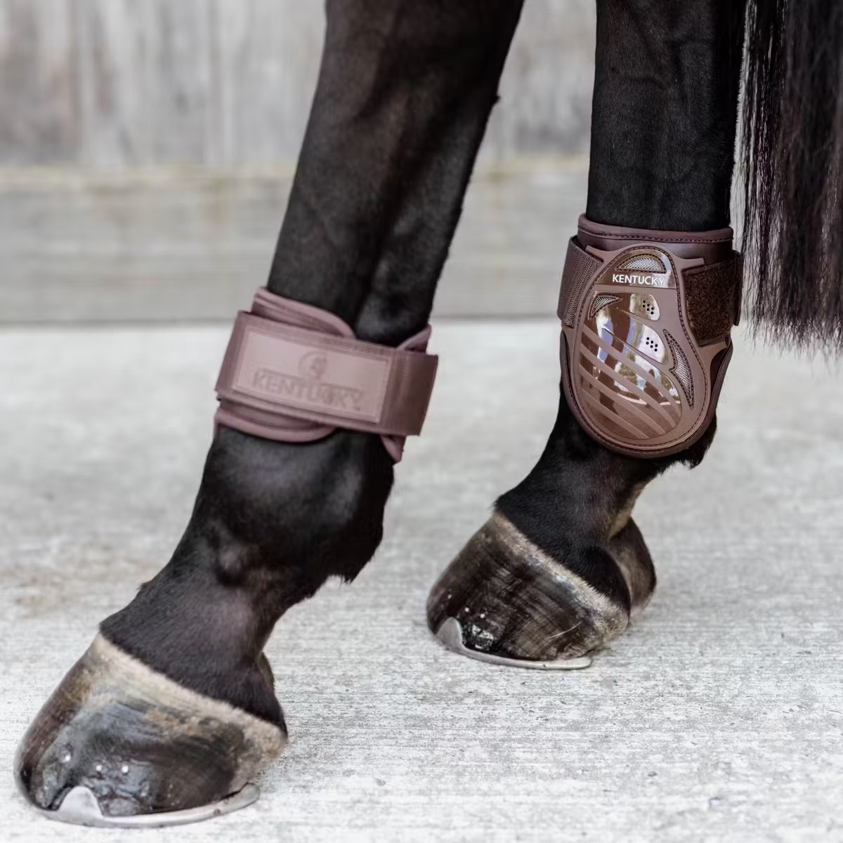 Kentucky Young Horse Fetlock Boots