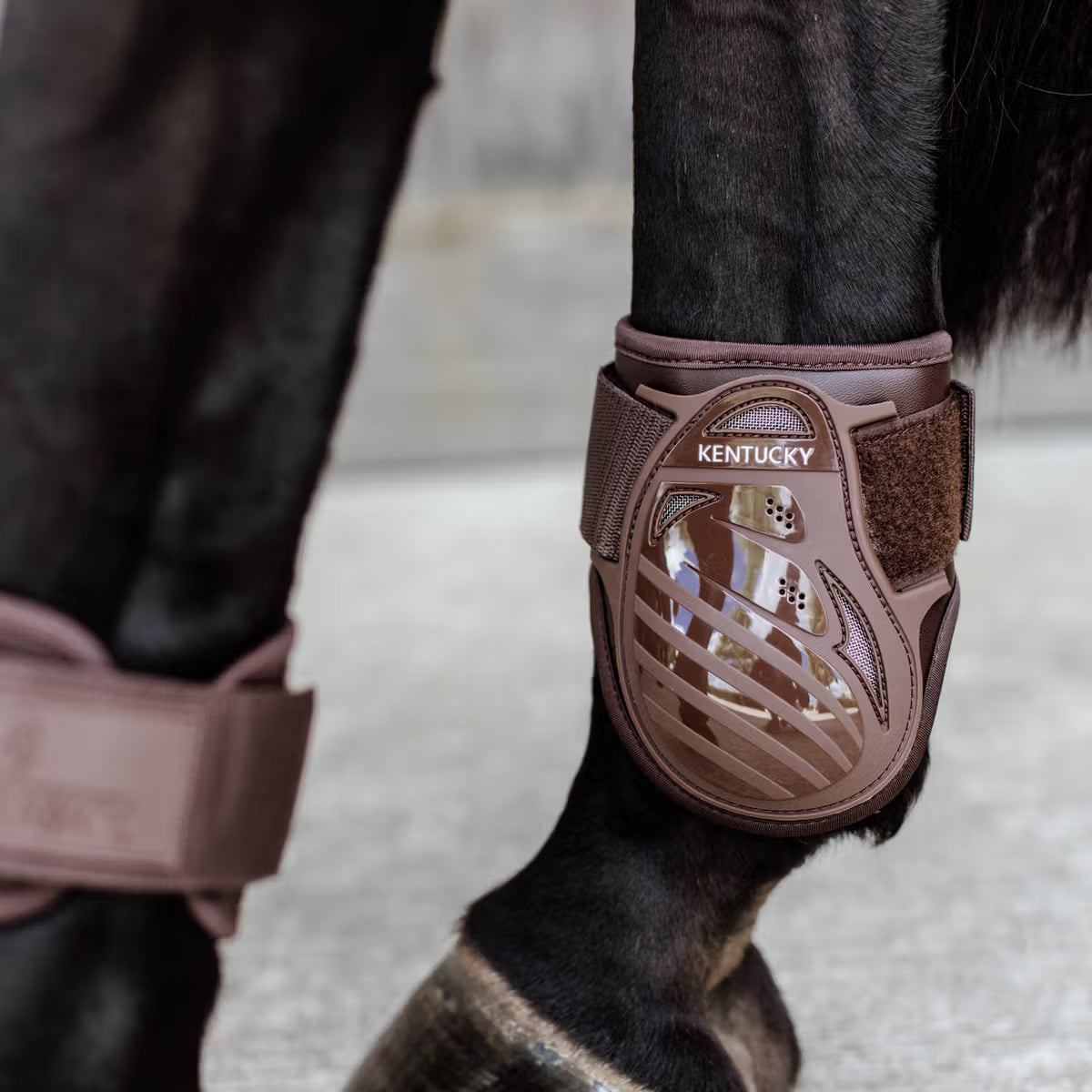 Kentucky Young Horse Fetlock Boots