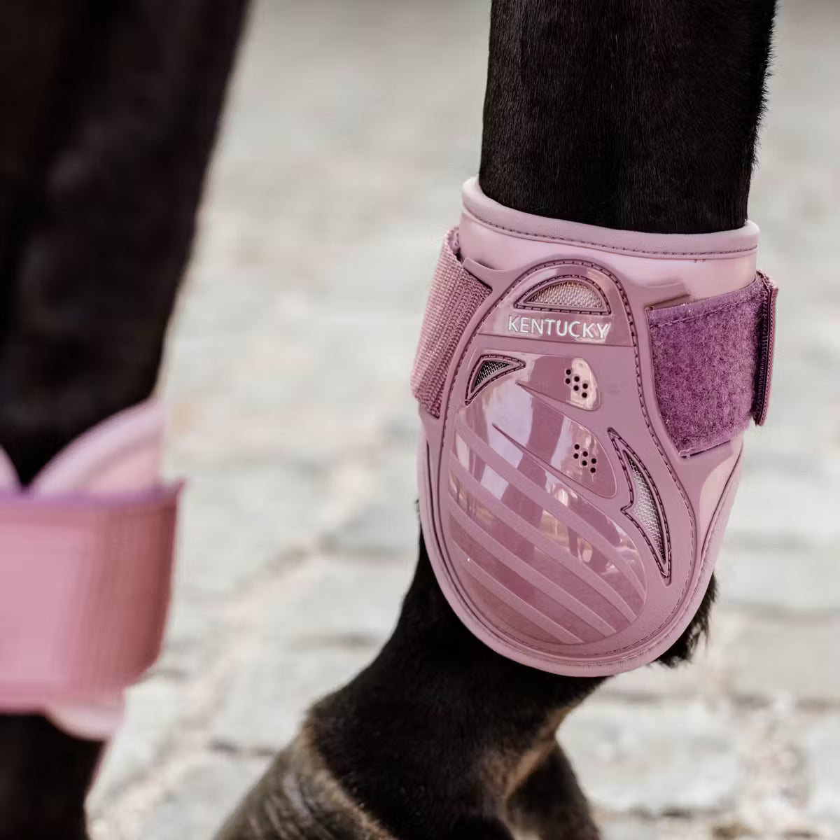 Kentucky Young Horse Fetlock Boots