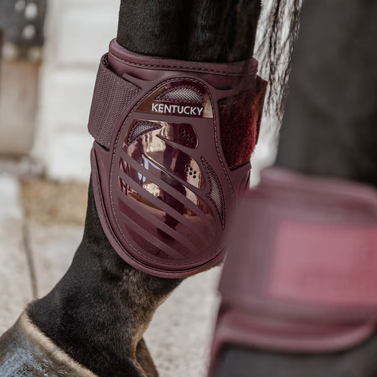 Kentucky Young Horse Fetlock Boots