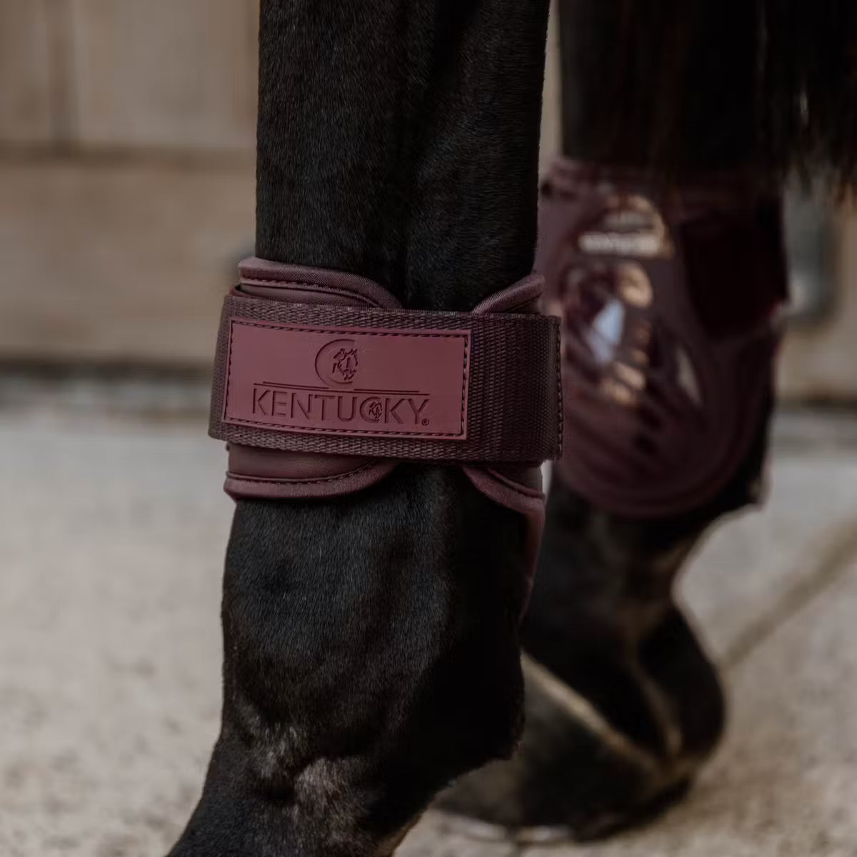 Kentucky Young Horse Fetlock Boots