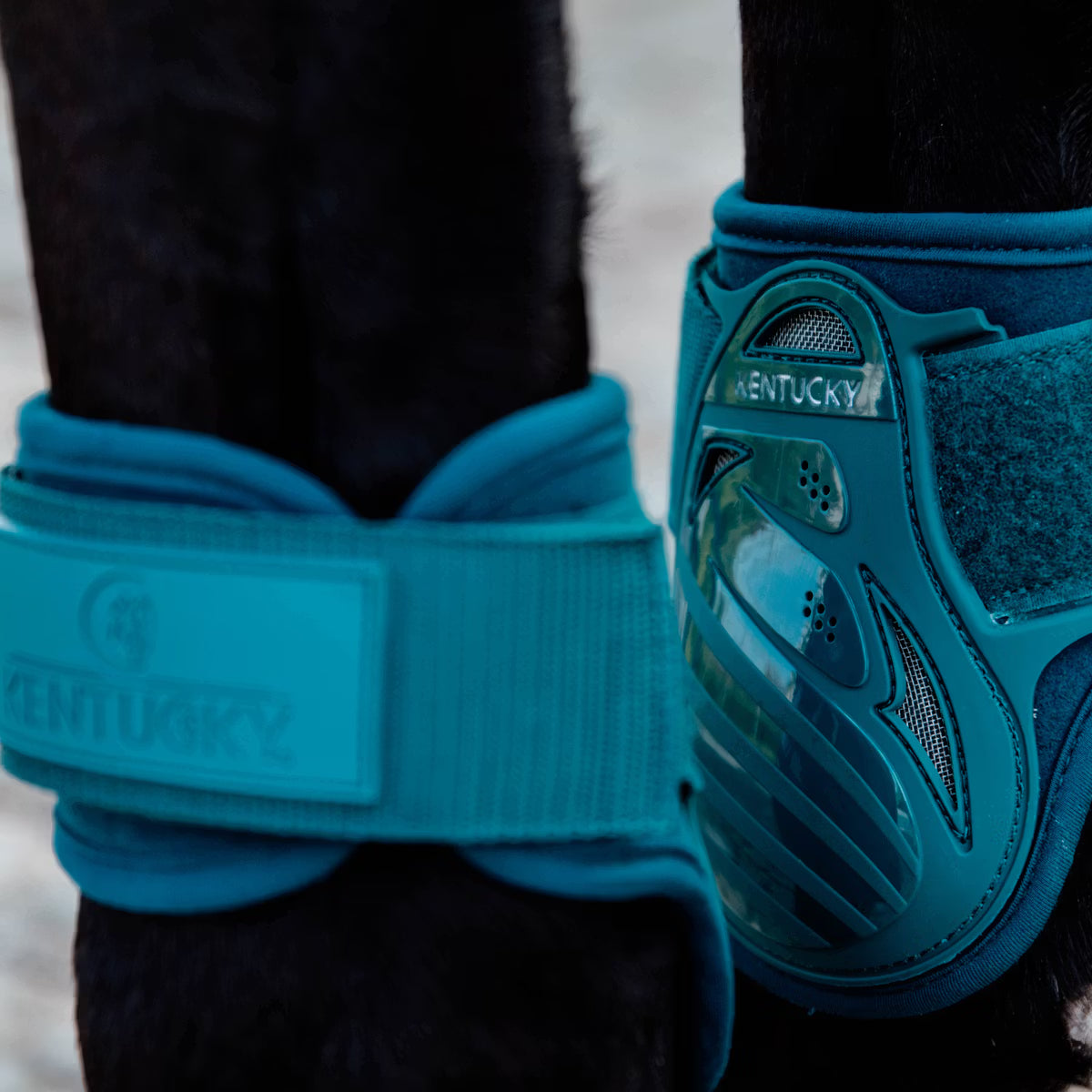 Kentucky Young Horse Fetlock Boots