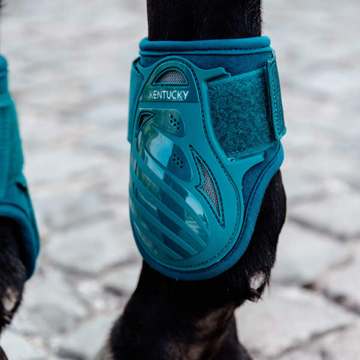 Kentucky Young Horse Fetlock Boots
