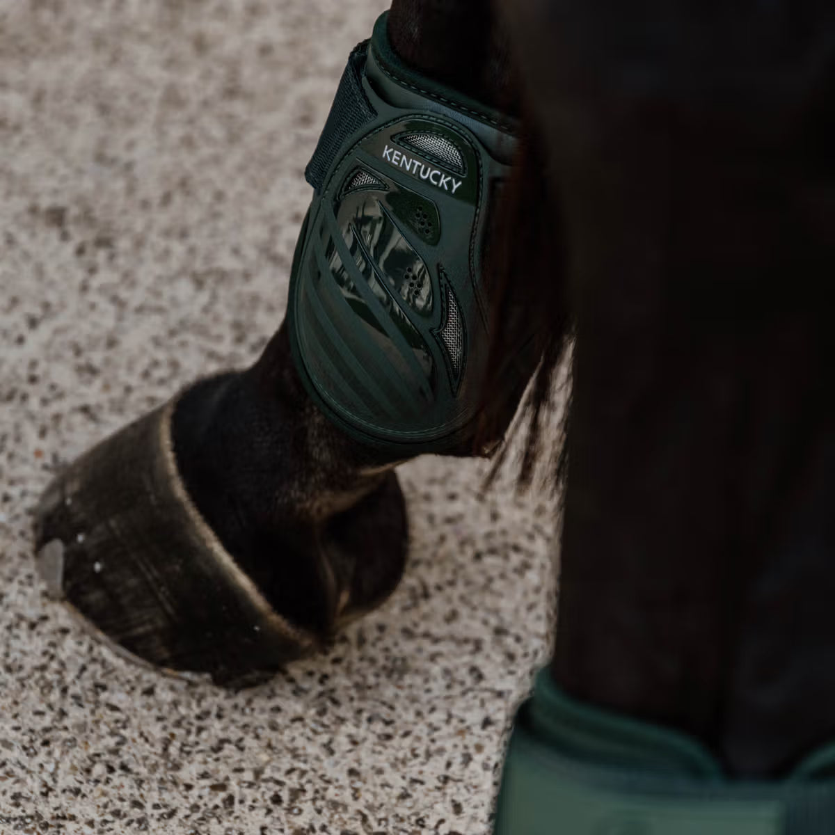 Kentucky Young Horse Fetlock Boots