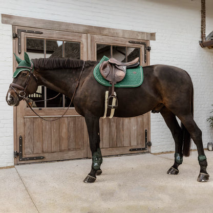 Kentucky Young Horse Fetlock Boots