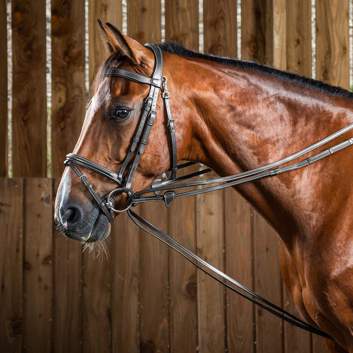 Dy'on Hunter Draw Reins 1/2" - Working by Dy'on