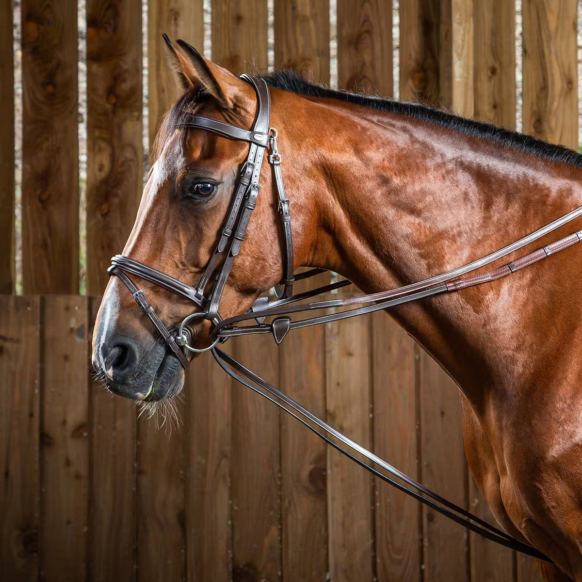 Dy'on Hunter Draw Reins 1/2" - Working by Dy'on