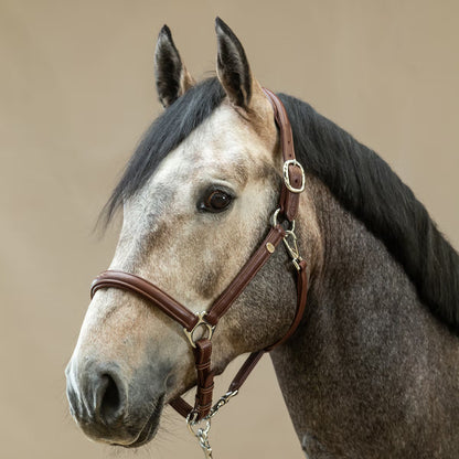 Dy'On Soft Leather Halter