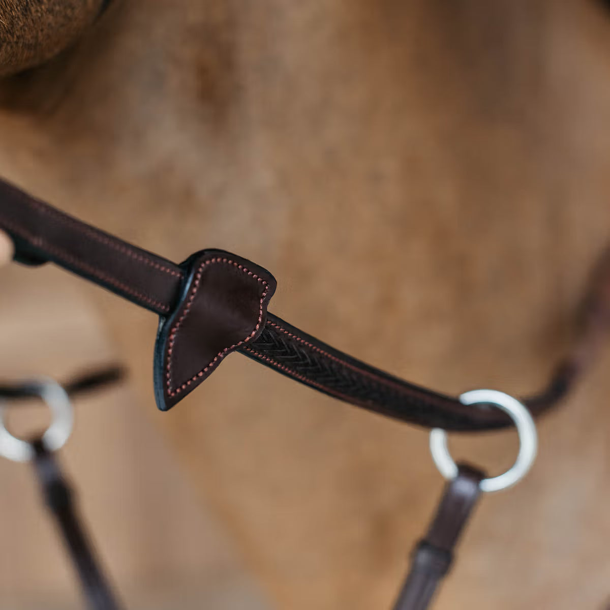Dy'On 1/2” Rubber Reins with 7 Leather Loops and Plaited Detail - New English Collection