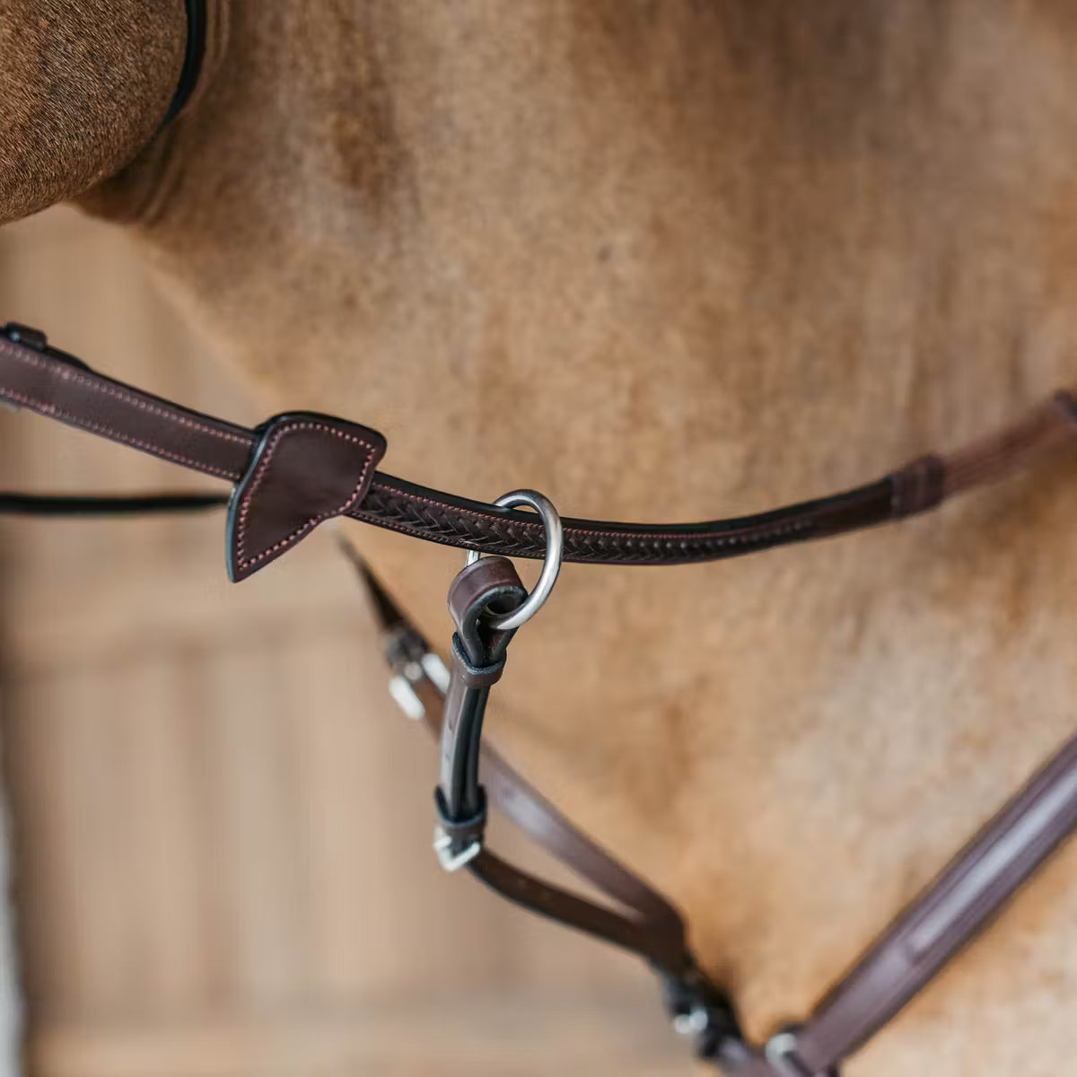 Dy'On 1/2” Rubber Reins with 7 Leather Loops and Plaited Detail - New English Collection
