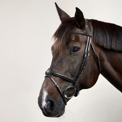 Dy'On Flash Noseband Bridle - New English Collection