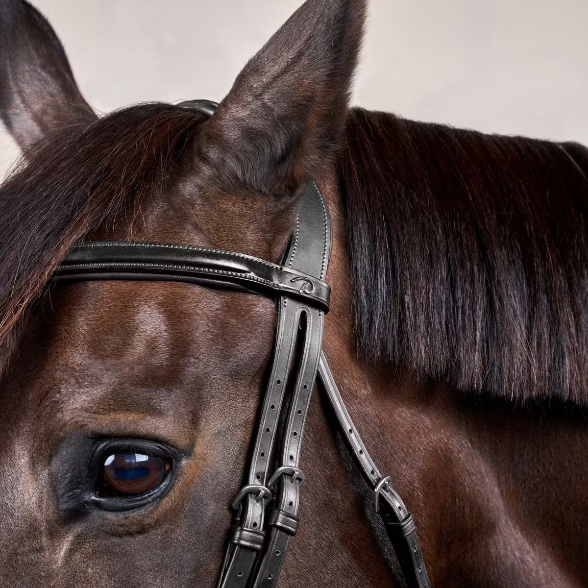 Dy'On Flash Noseband Bridle - New English Collection